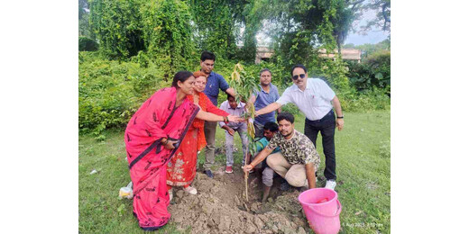 सावन के अवसर पर पर्यावरण संरक्षण हेतु आम का पौधारोपण, मानव जीवन बचाने का संदेश
